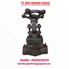 Forged Steel Gate Valve Class 800 3