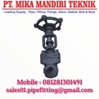 Forged Steel Gate Valve Class 800 2