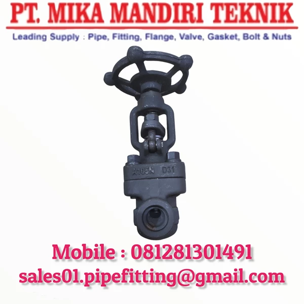 Forged Steel Gate Valve Class 800 - 2500